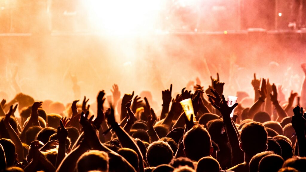 Crowd of people cheering at a live concert