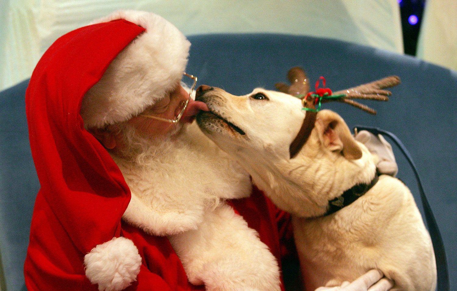 Photos with Santa (Pet Night)